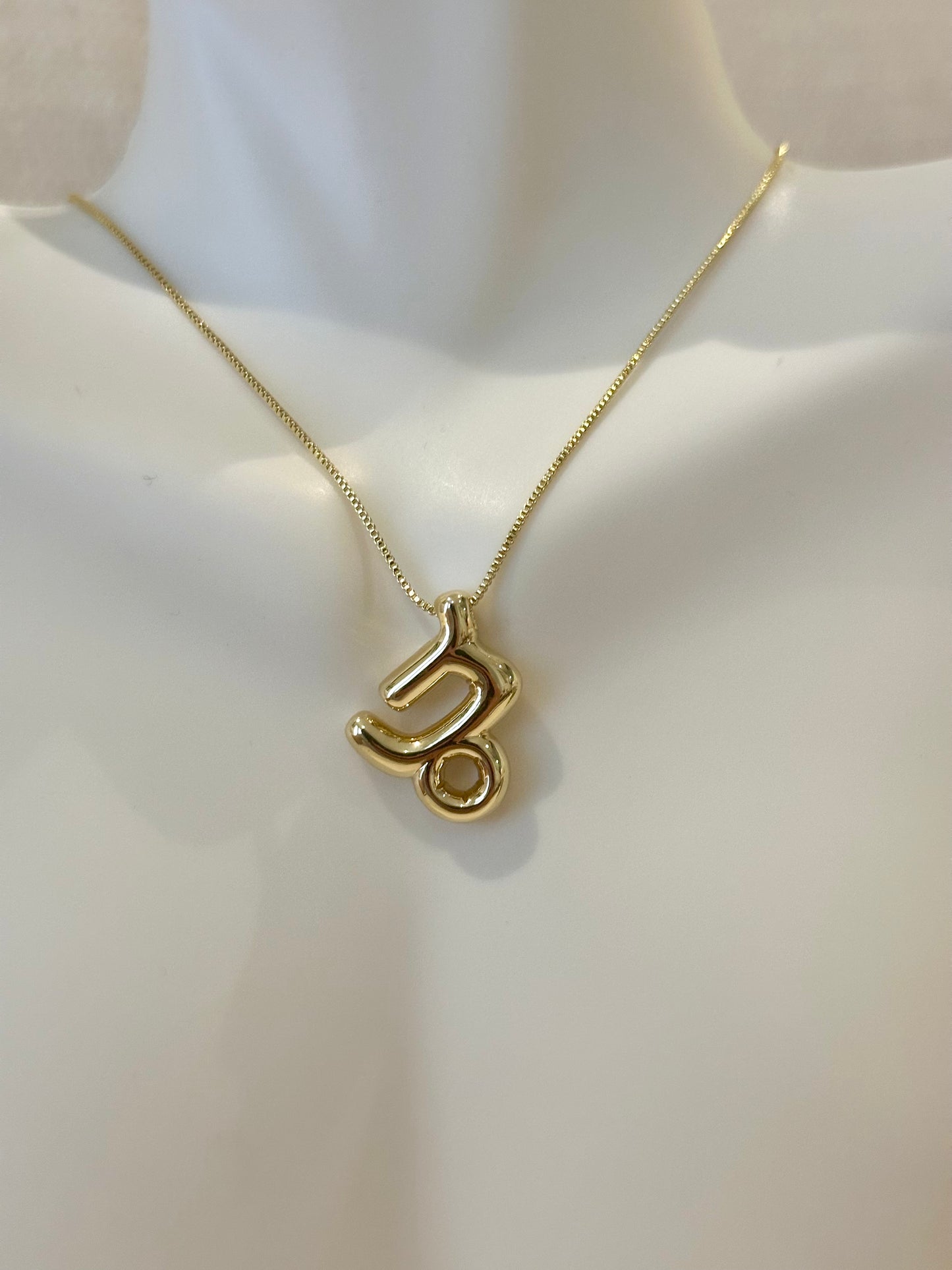 Zodiac sign Necklace