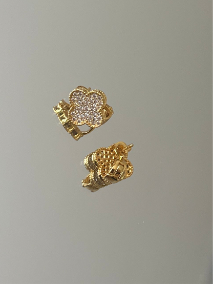 Gold Earrings with stone