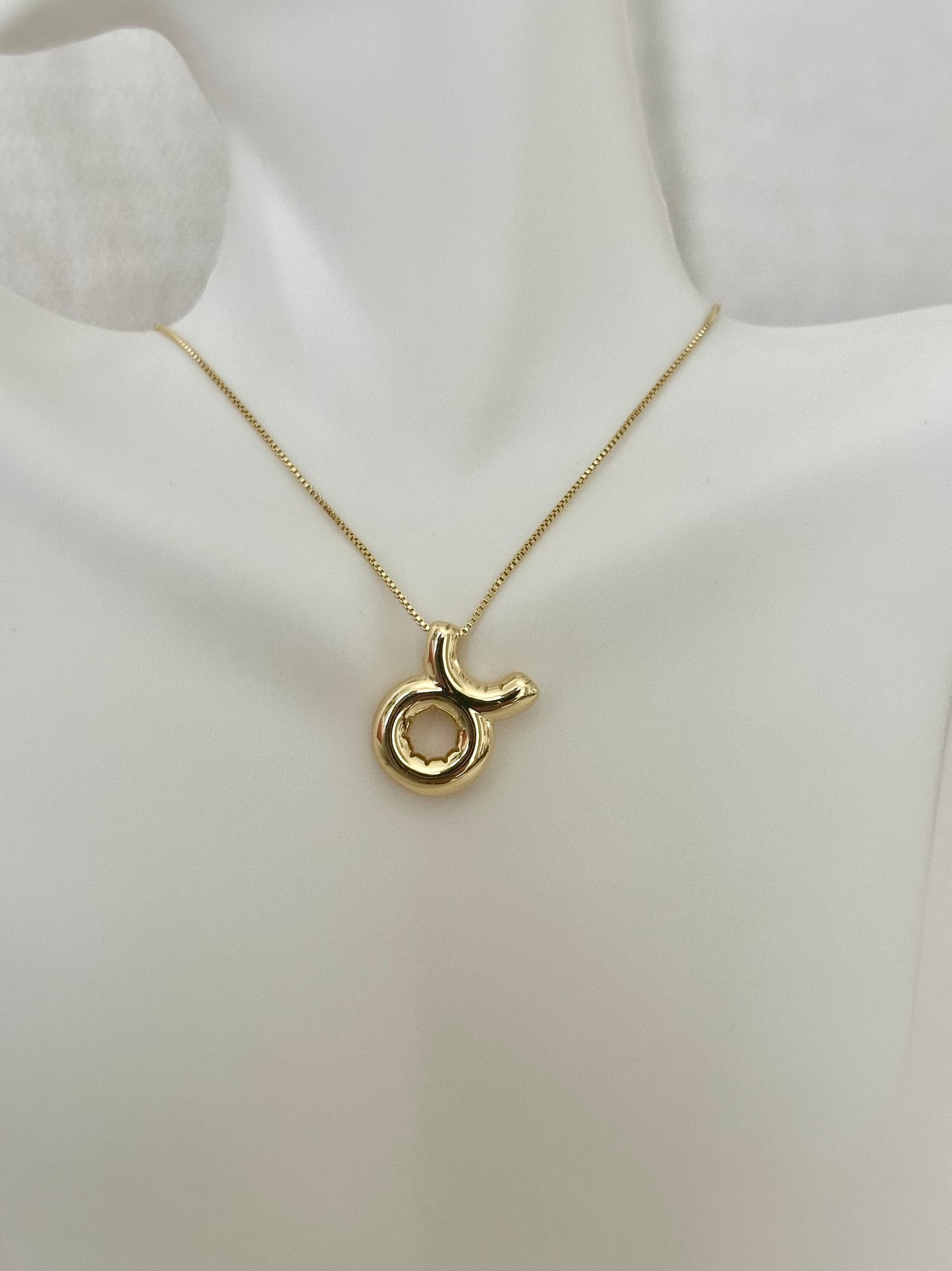 Zodiac sign Necklace