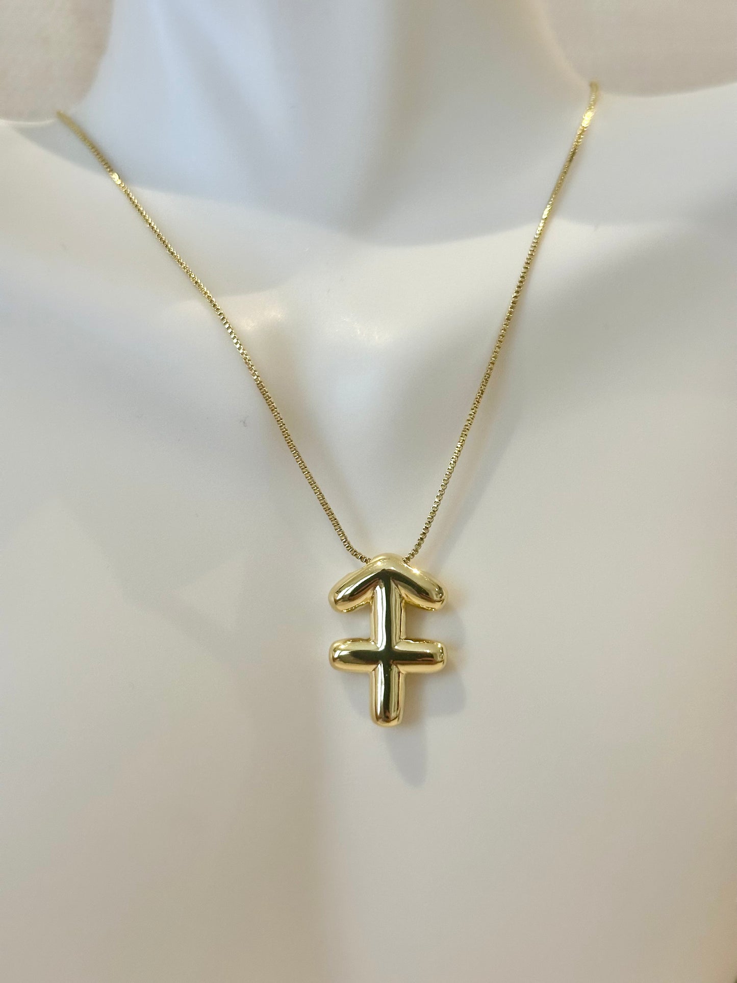 Zodiac sign Necklace