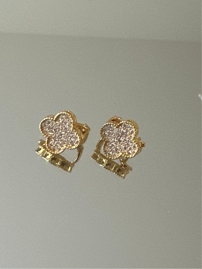 Gold Earrings with stone