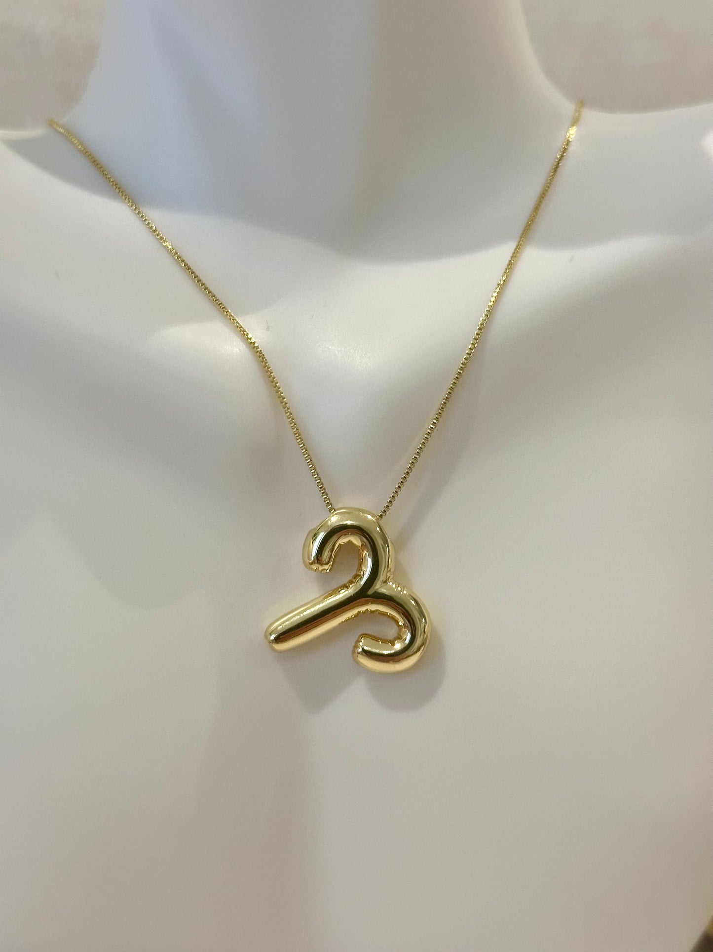 Zodiac sign Necklace